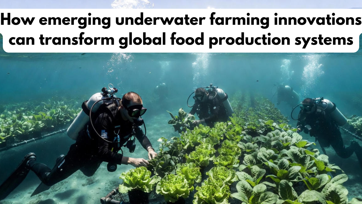 How emerging underwater farming innovations can transform global food production systems