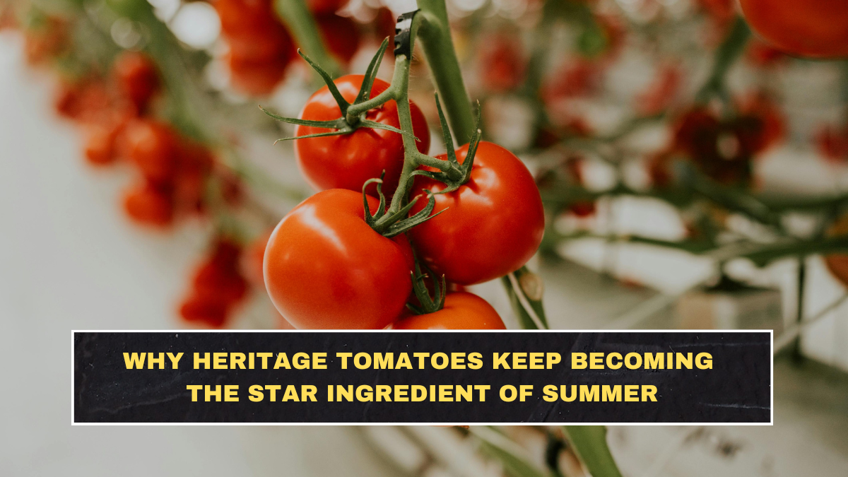 Why Heritage Tomatoes Keep Becoming the Star Ingredient of Summer