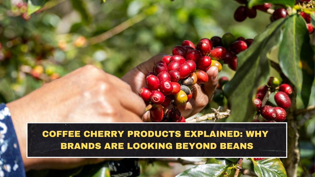 Coffee Cherry Products Explained: Why Brands Are Looking Beyond Beans