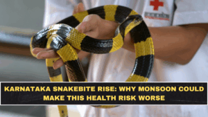 Karnataka Snakebite Rise: Why Monsoon Could Make This Health Risk Worse