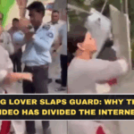Delhi Dog Lover Slaps Guard: Why This Viral Video Has Divided the Internet