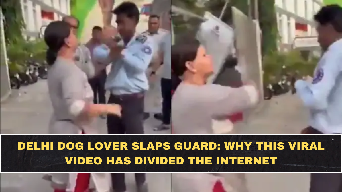 Delhi Dog Lover Slaps Guard: Why This Viral Video Has Divided the Internet